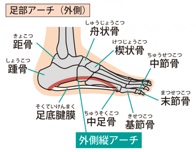 アーチ イラスト